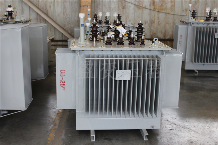 中卫S20-800kVA/10kV/0.4kV变压器